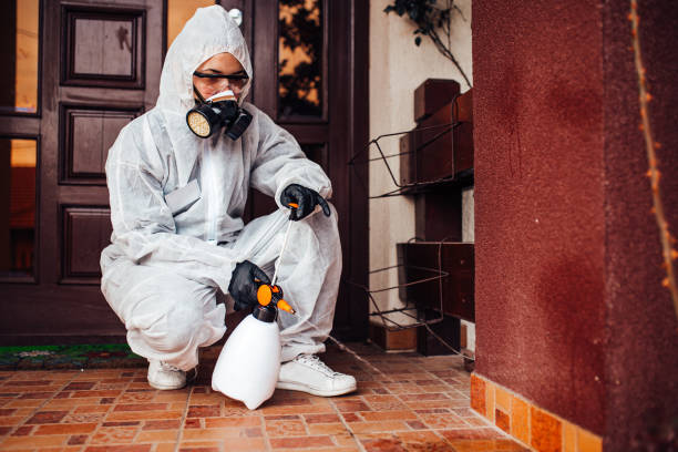 Reliable Ant Control contractor in Pompton Lakes, NJ by Nex Pest Control