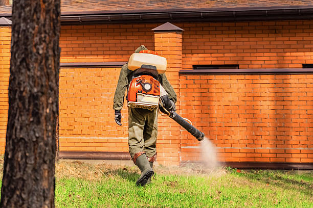 Trusted Termite Control service in Pompton Lakes, NJ - Nex Pest Control